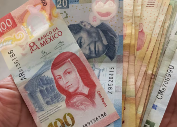 Peso mexicano cierra desfavorablemente el mes de julio cotizando a 18.86 por dólar.