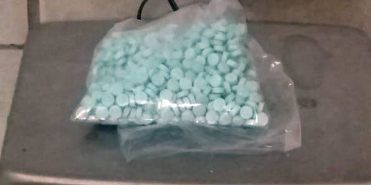 Decomisan 50 mil pastillas de fentanilo dentro de cajas de pollo en Hermosillo.