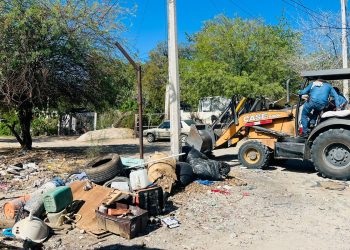 Realizan jornada de descacharre en la colonia Café Combate.