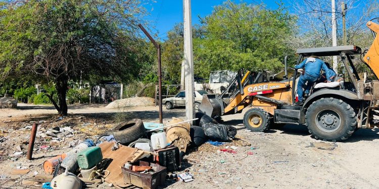 Realizan jornada de descacharre en la colonia Café Combate.