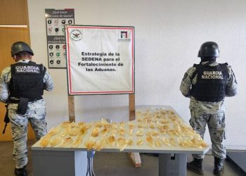 Golpe al tráfico de totoaba: Detienen cargamento con 75 piezas deshidratadas.