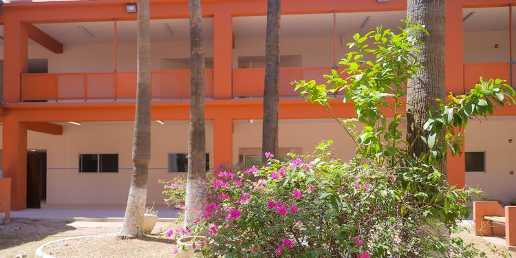 Se habilitarán todas las calles del interior del campus Hermosillo para inicio de clases.