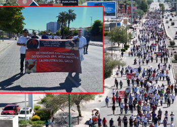 Siguen protestas en Hermosillo por la Ley de Protección y Bienestar Animal.