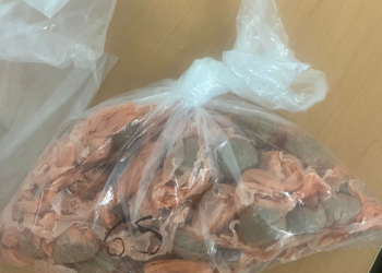 FGR inicia investigación tras aseguramiento de cocaína, metanfetamina y marihuana en Nogales.