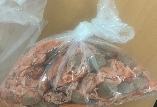 FGR inicia investigación tras aseguramiento de cocaína, metanfetamina y marihuana en Nogales.