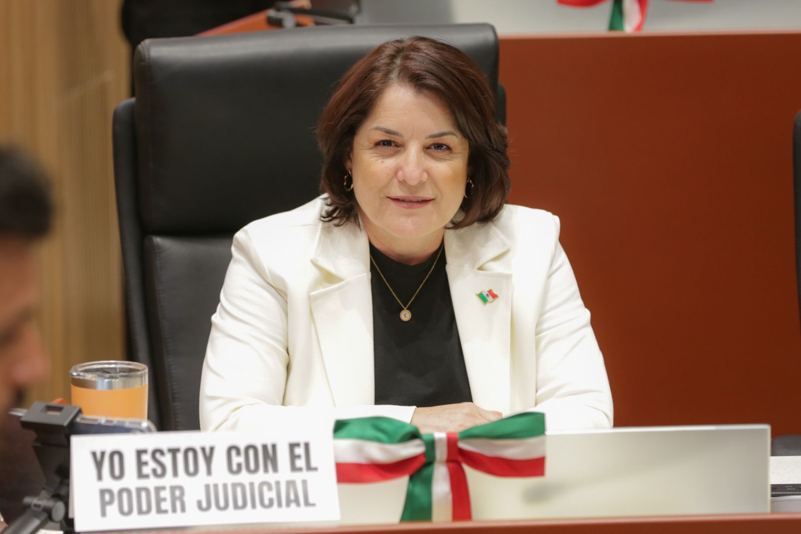 No seremos parte de la destrucción del Poder Judicial: Bancada Naranja.