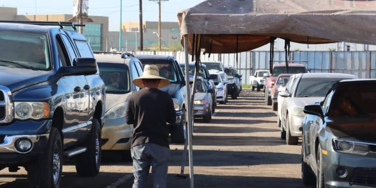 Extienden 2 años más la fecha para regularizar autos “chocolate”.