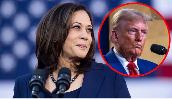 Inicia votación anticipada en EU para elecciones presidenciales: Cinco claves para entender el proceso.