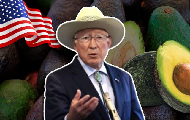 Embajador Ken Salazar “confía” en la implementación de programa que prohíba la entrada de aguacate “ilegal” a EU.