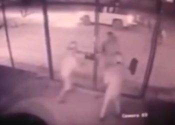 Militares golpean a tres jóvenes que regresaban de trabajar en SLRC; es el segundo video de abuso de fuerza en la semana.