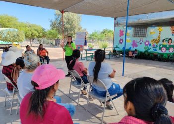 Convoca Gobierno de Hermosillo a concurso de elaboración de insectos en exposición INSECTUS.
