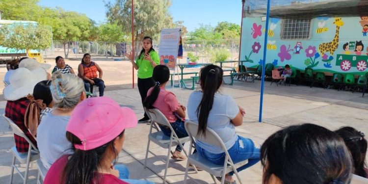 Convoca Gobierno de Hermosillo a concurso de elaboración de insectos en exposición INSECTUS.