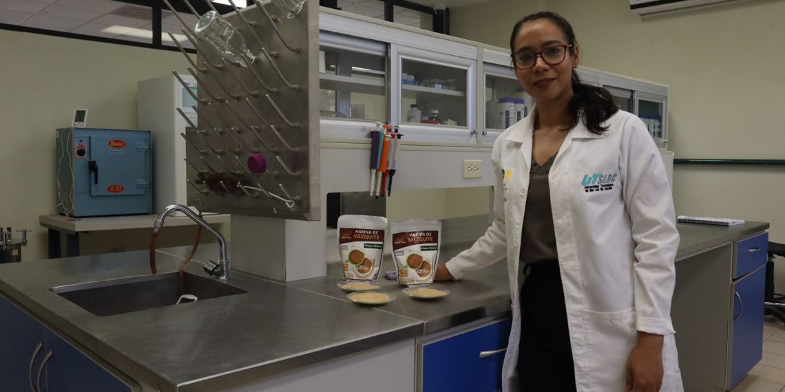 Publica prestigiosa revista internacional investigación de la Universidad Tecnológica de SLRC.