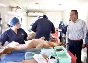Atestigua Antonio Astiazarán jornada gratuita de esterilización de mascotas en Hermosillo.