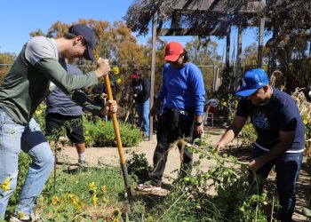 Futuros docentes se capacitan para crear huertos escolares sustentables.