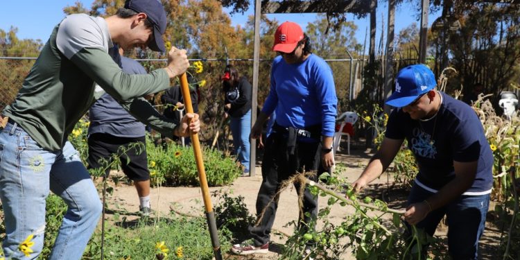 Futuros docentes se capacitan para crear huertos escolares sustentables.