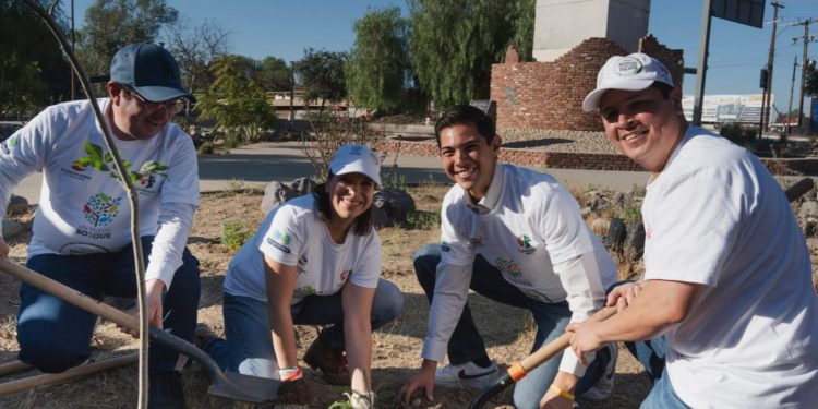 Reforestan 522 árboles y plantas arbustivas en la orilla del Río Tecate, en Baja California.