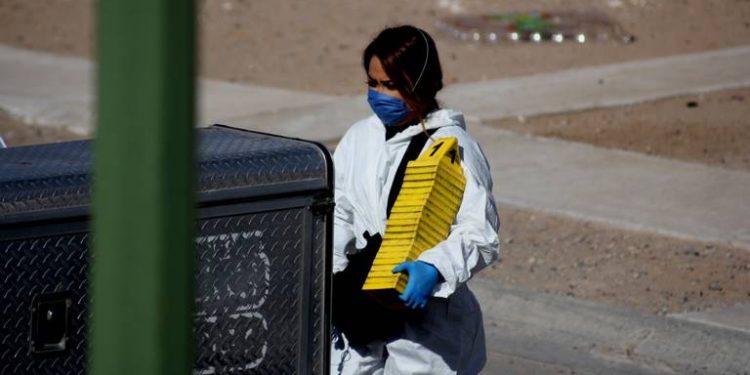 Encuentran hielera con restos humanos en colonia de Cajeme.