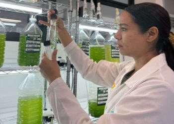Desarrolla Universidad Tecnológica de SLRC biofertilizante a base de algas.