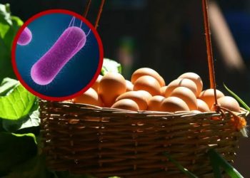 Retiran 345 mil docenas de huevos contaminados con salmonella en EU.