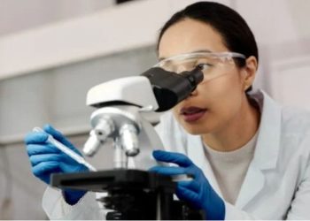 Roche planea invertir hasta 126 mdd en investigación clínica en México.