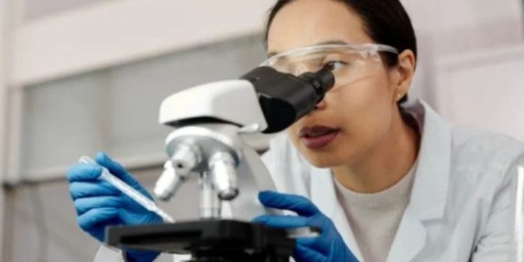 Roche planea invertir hasta 126 mdd en investigación clínica en México.