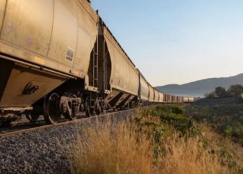 Aseguran que hay 100 mil toneladas de granos varados por bloqueo en vía Veracruz-México.