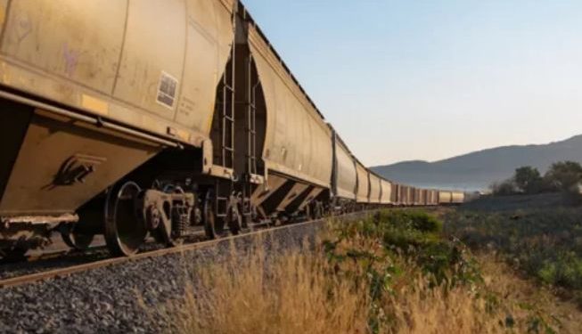 Aseguran que hay 100 mil toneladas de granos varados por bloqueo en vía Veracruz-México.