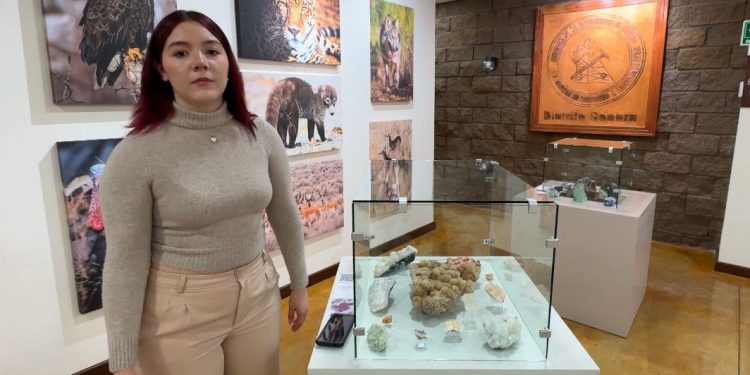 Visitan estudiantes de la Unison Museo de Minerales.