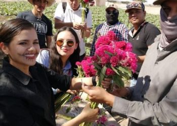 Alumnado de UTE cosecha flor tradicional del Día de Muertos.