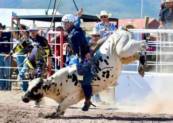 Gobierno de Sonora invita a la Gran Final del Circuito de Rodeo Tour Sonora 2024.