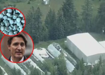 Desmantelan el “súper laboratorio” de drogas más grande en la historia de Canadá: Decomisan fentanilo, armas y precursores químicos.
