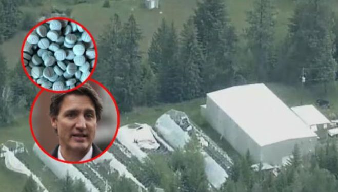 Desmantelan el “súper laboratorio” de drogas más grande en la historia de Canadá: Decomisan fentanilo, armas y precursores químicos.