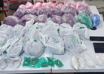 Por transporte de narcóticos FGR obtiene sentencia condenatoria en contra de dos personas.