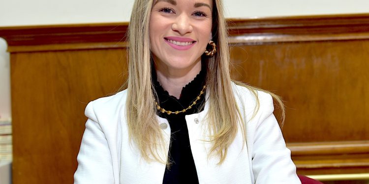 Continúa abierta convocatoria a artistas para Fiestas del Pitic 2025.