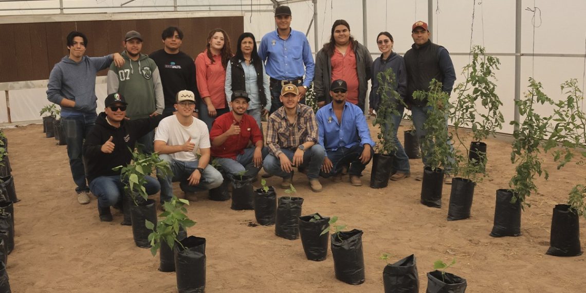 Inicia actividades invernadero del Departamento de Agricultura y Ganadería de Unison.