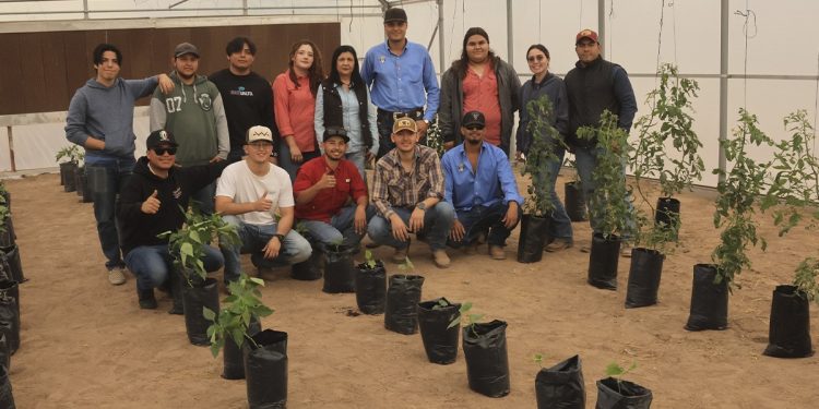 Inicia actividades invernadero del Departamento de Agricultura y Ganadería de Unison.