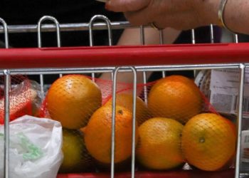 Exportación de mandarina y cítricos en Sonora: Agricultores piden mayor apoyo.