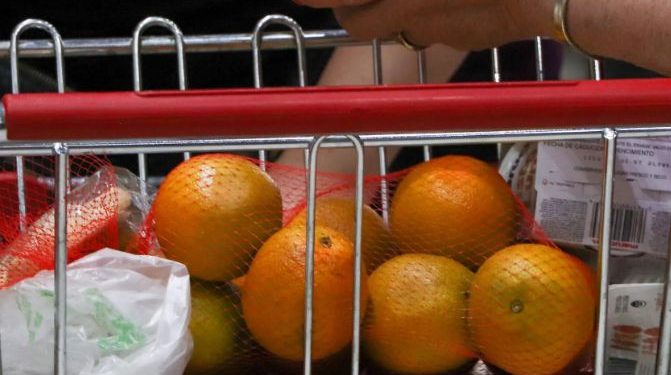 Exportación de mandarina y cítricos en Sonora: Agricultores piden mayor apoyo.