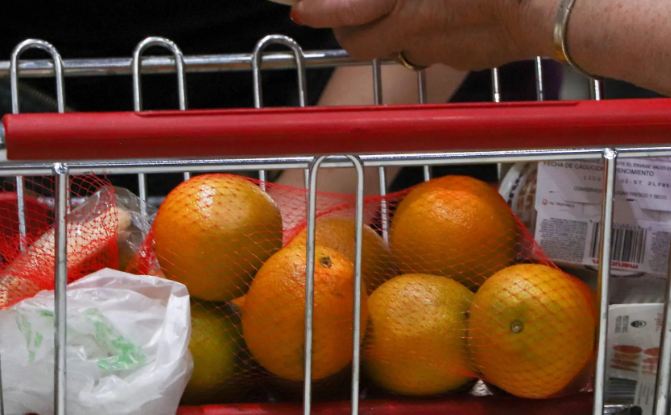 Exportación de mandarina y cítricos en Sonora: Agricultores piden mayor apoyo.