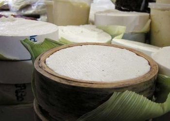 Ciencia al rescate de los quesos artesanales mexicanos genuinos.