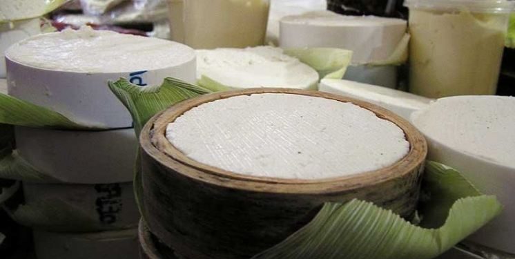 Ciencia al rescate de los quesos artesanales mexicanos genuinos.