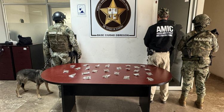 Fuerza de Tarea Interinstitucional (FTI) catea tres inmuebles y asegura narcótico.