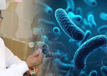 Complicaciones por bacteria Klebsiella oxytoca se registran en pacientes hospitalizados: Unison.