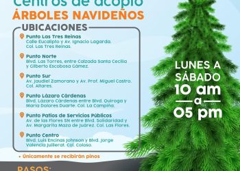Invita Ayuntamiento de Hermosillo a depositar árboles navideños en centros de acopio.