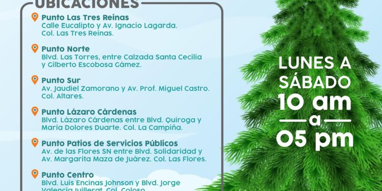 Invita Ayuntamiento de Hermosillo a depositar árboles navideños en centros de acopio.