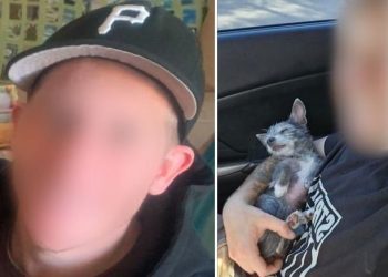 Confirman localización de ciudadano estadounidense reportado como desaparecido en Puerto Peñasco.