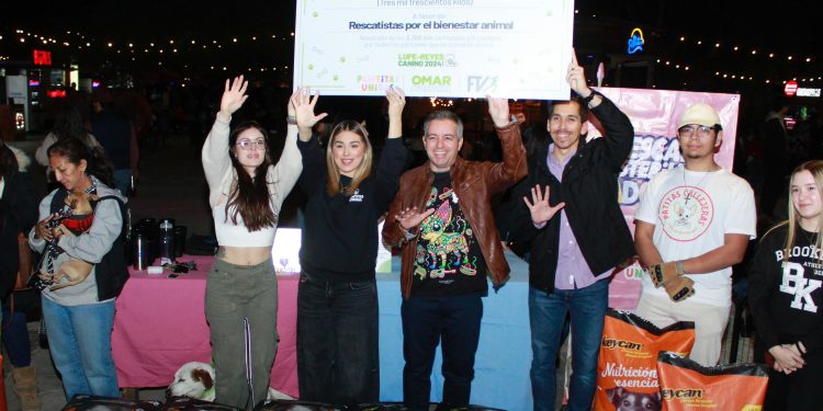 Entrega Omar Del Valle Colosio más de tres toneladas de croquetas a agrupaciones de rescate animal.