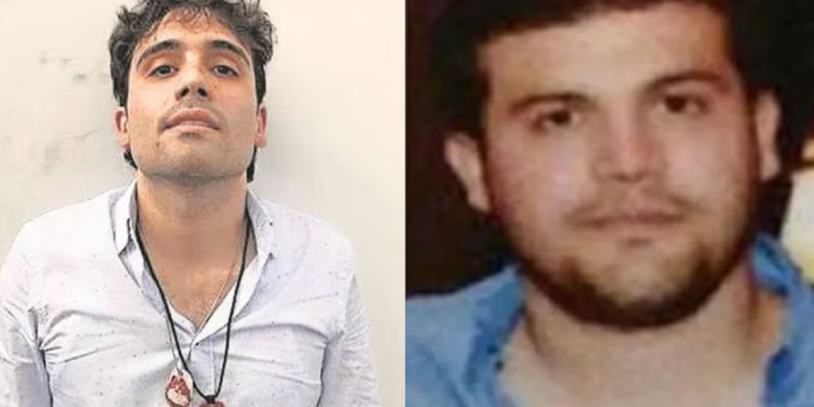 Chapitos aún no logran acuerdo con gobierno de EU; negocian declaración de culpabilidad.