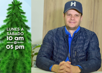 Recibirá Ayuntamiento de Hermosillo durante todo enero los pinos naturales en centros de acopio.